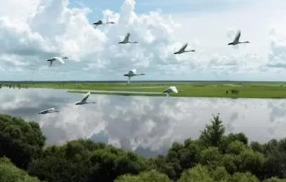 黑龙江省中国科学院科学家工作室增至114家