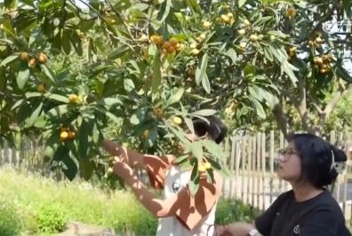 尝“鲜”经济带火旅游消费 激活吃、住、游、购、娱综合消费新动能