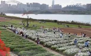 繁花美景引客来 “自然风光+红色文化”成文旅融合发展闪亮名片