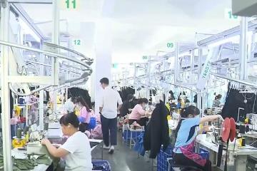 国际订单回流 外贸企业“火力全开”赶订单、拓市场