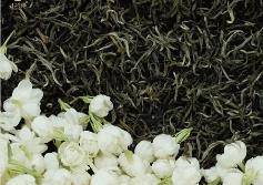 福建去年出口2184吨茉莉花茶