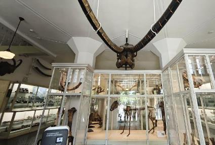 天津特色小众博物馆展现文博大魅力