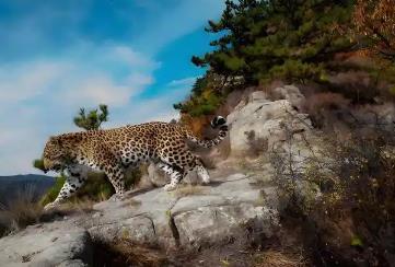 山西省生物多样性“家谱”不断丰富