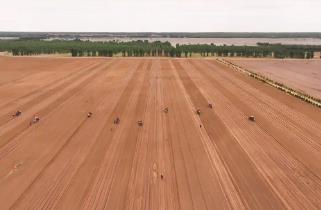 内蒙古敖汉旗：百万亩谷子播种启幕 续写“世界小米之乡”辉煌