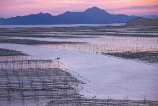 福建：将“蓝色牧场”打造成广阔的“碳库”