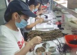 广东茂名： 特色金融助力沉香产业腾飞