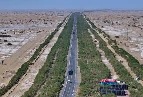 内蒙古“三北”工程攻坚战取得重大成果