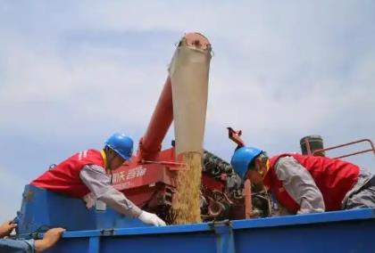 山西临汾：保电到田间 抗旱保丰收
