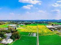 四川印发省级农业高新技术产业园区建设“施工图”