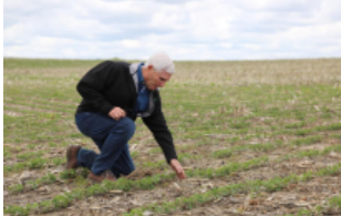 美国“粮仓”一线观察：关税政策冲击下的农民春播之困