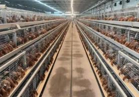 黑龙江农产品走向“全国名特优新”之路