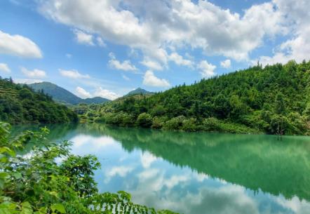 广东高水准推进绿美保护地建设 物种数量和种群规模呈扩大态势