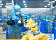 冷冻饮品总体食品安全状况稳定向好