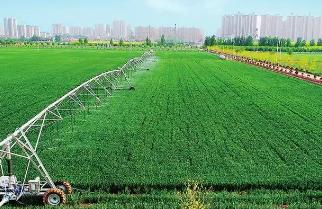 河南全力打造中原农谷2.0版