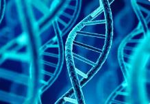 细胞新图谱揭示关键DNA对癌症进化的作用