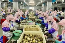 全国第一！今年前5个月福建鲍鱼制品出口规模创新高
