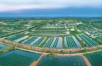 湖北支持做大做强特色产业 打造10个全国知名“特色之乡”