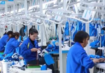 19条稳就业硬核举措出炉，专家解读