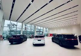 上半年新势力车企销量大洗牌 零跑鸿蒙理想高居前三名