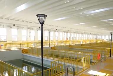 供水保障更“聪明” “科技+服务”一“键”满足盛夏生产生活用水激增需求