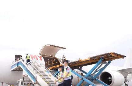 客货齐增！国际客运货运航线加密 丝路核心枢纽活力凸显