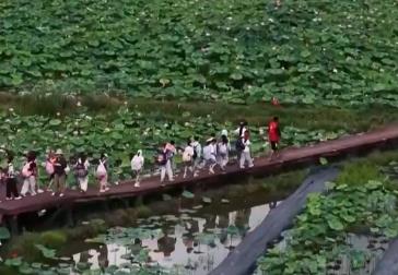 各地文旅“打开方式”花样翻新 不断激发“夏日经济”消费新活力