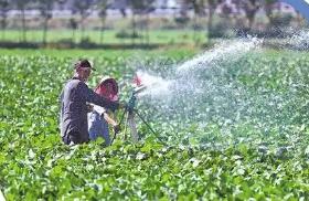 抗旱保秋河南在行动