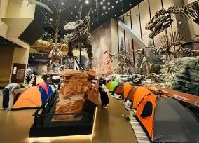 夜宿博物馆一票难求 火爆的背后面临哪些挑战？