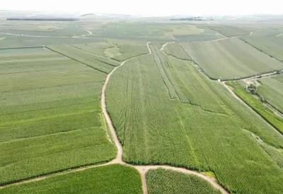 内蒙古：保护性耕作稳步扩面