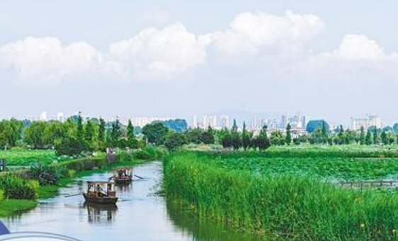 云南曲靖：吃清凉饭享暖心游