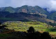 四川攀枝花林旅融合促振兴