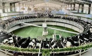 呼和浩特市以大产业大园区引领农牧业变革