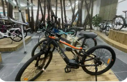 去年我国自主品牌的中高档自行车销售额增长20%