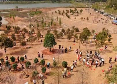 广东建立30个省级“互联网+全民义务植树”基地