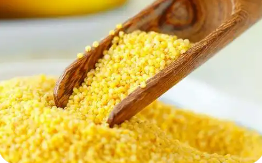 有机农业托起金色希望 辽宁朝阳走出有机产品带动杂粮产业兴旺新路径