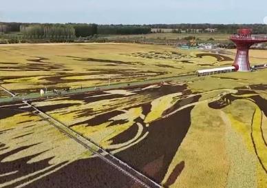 淄博→尔滨→天水 “网红城市”“火爆出圈”后如何“四季长红”？