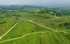 河南三门峡市：崤函沃野绘“丰”景