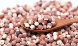 用好水资源 延伸产业链 黑龙江宾县“小芡实”结出“黄金果”