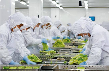 政策定调 标准护航 认识提升  预制菜产业高质量发展当跨“三重门”