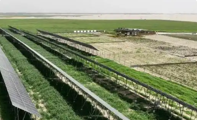 中广核扎根新疆十六载 “风光”无限绘就兴业富民新蓝图