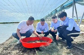 江苏出台农担高质量发展意见