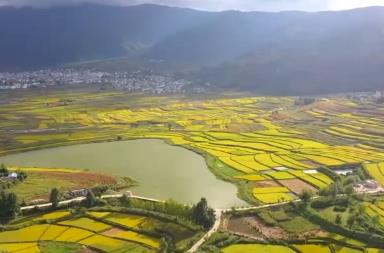 农文旅添彩乡村好“丰”光 秋收景象成为吸引游客的“流量密码”