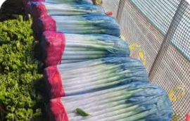 小县城如何变身“世界菜篮子”——来自山东潍坊安丘市的调查