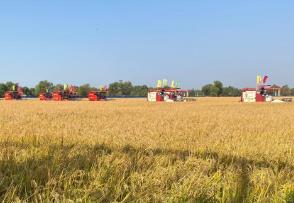 黑龙江智能秋收跑出“加速度” 已收完六成14455万亩