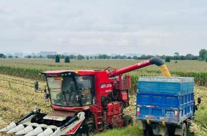 河南农业必须闯过“多雨常态”这道关