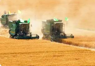 内蒙古以“科学储粮＋智慧监测”推动节粮减损