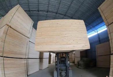 广西融安发布19项团体标准护航“中国香杉板材之乡”产业升级