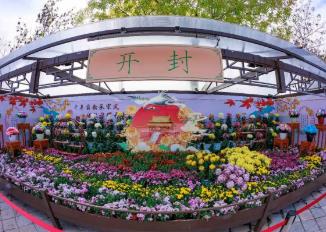 河南开封：以花为媒 激活全域文旅新活力