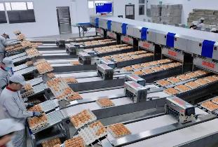 明年1月1日起施行 《蛋制品生产许可审查细则（2025版）》发布