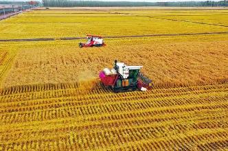 黑龙江省秋收生产基本结束